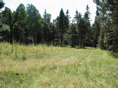 LOT 73